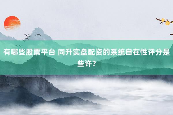 有哪些股票平台 同升实盘配资的系统自在性评分是些许？